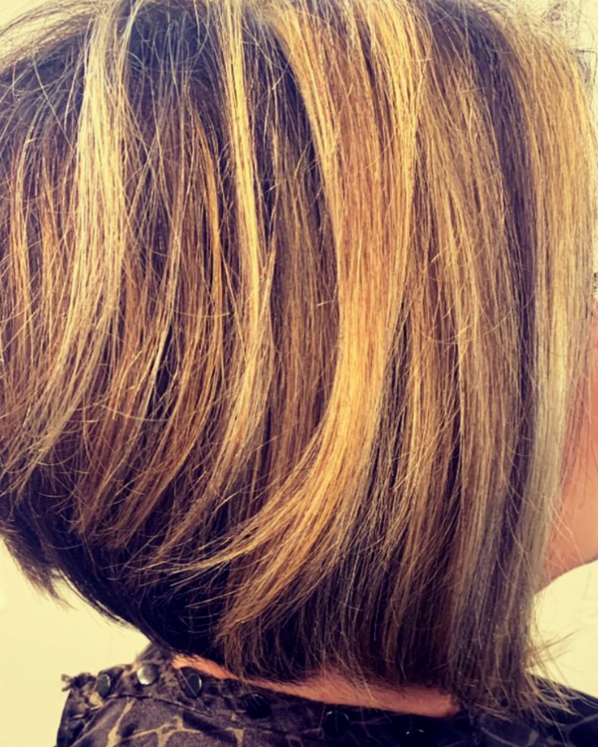 Dimensional bob haircut and color by Lauren Hatcher